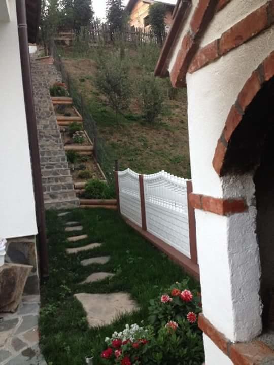 Pensiunea Rustic Borşa Dış mekan fotoğraf