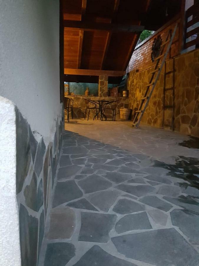 Pensiunea Rustic Borşa Dış mekan fotoğraf