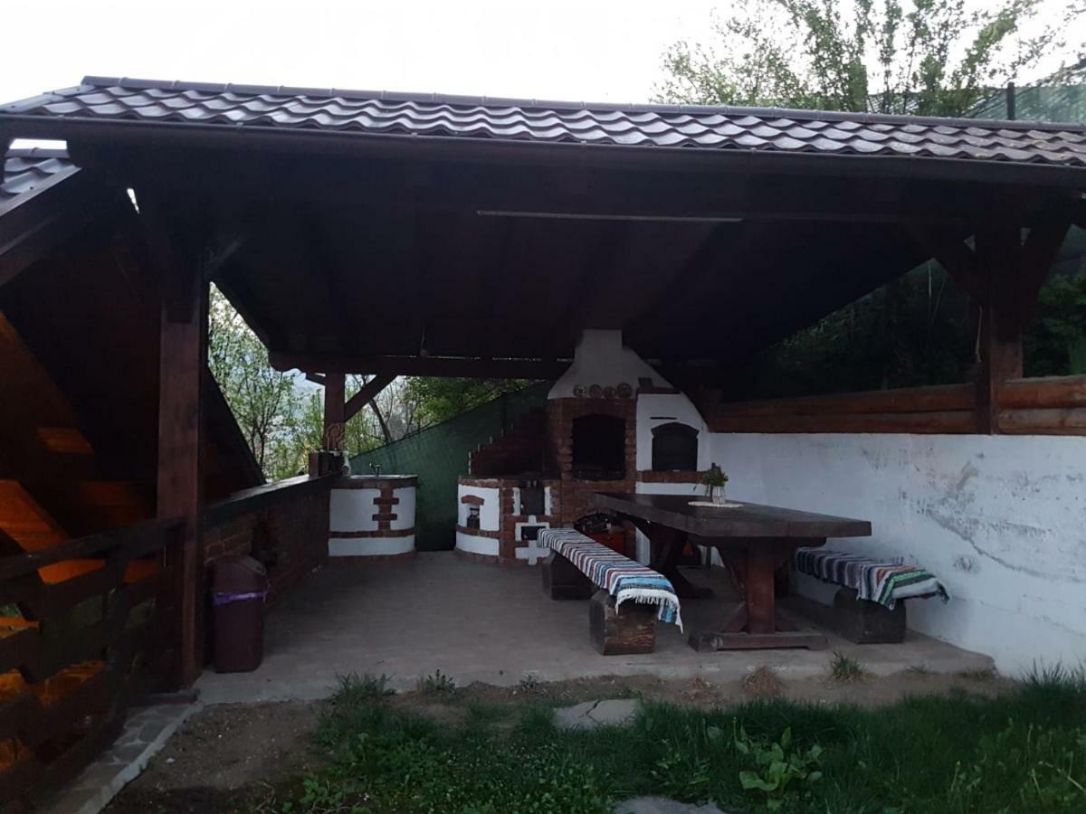 Pensiunea Rustic Borşa Dış mekan fotoğraf